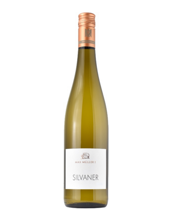 Silvaner Gutswein-Max Müller.png